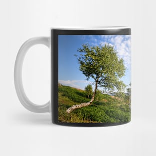 Spring on Tom Heights Mug